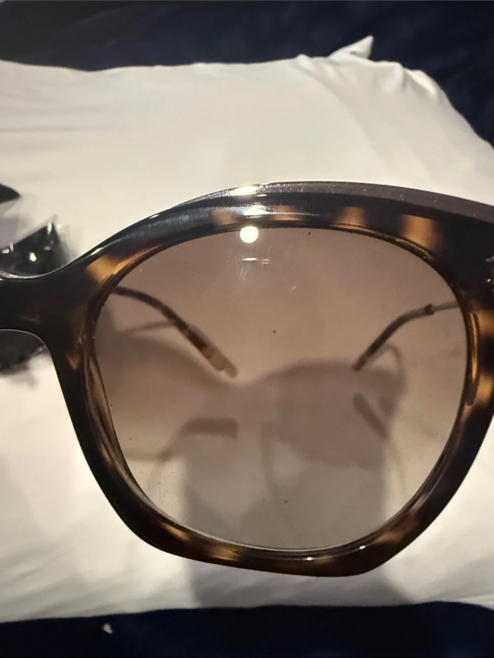 Calvin Klein Tortoiseshell Frame Sunglasses with Brown Lenses NWT